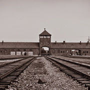 Intro to Holocaust Studies